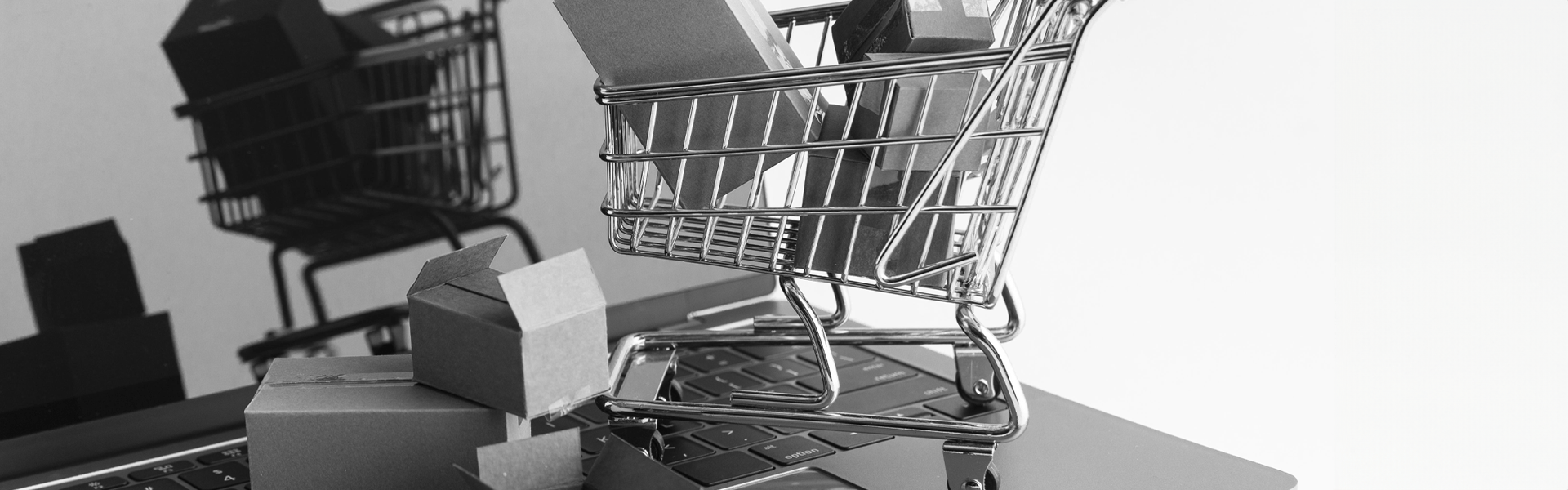 Mini shopping cart on laptop - Header - 8 safety tips for online shopping -