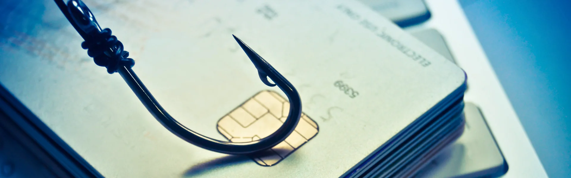 Phishing Hook