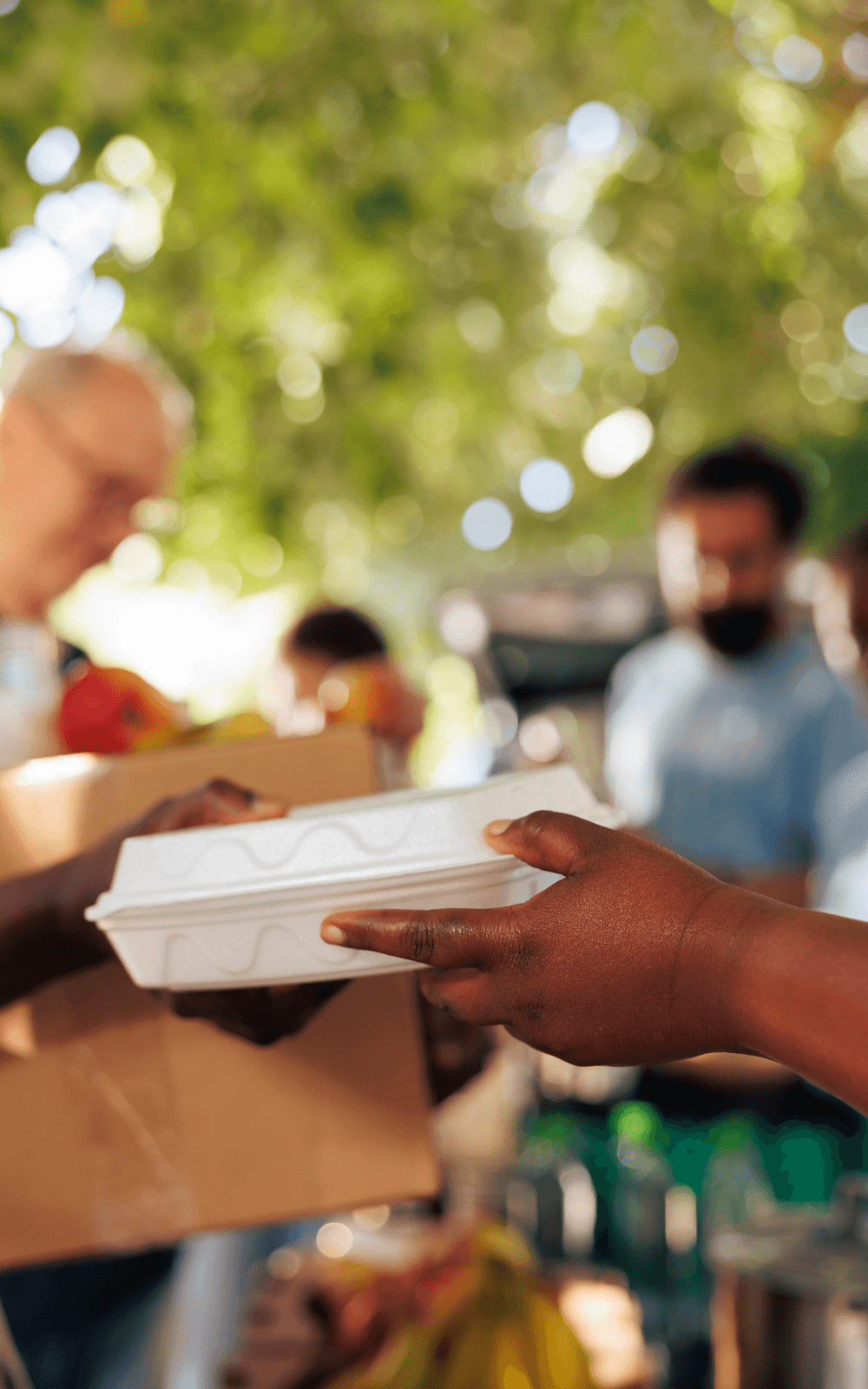 Non-Profit experiencing the benefits of Non-Profit IT Services while helping their community
