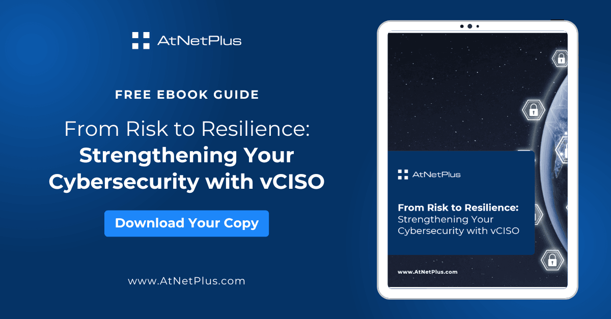 From Risk to Resilience: vCISO Virtual CISO (vCISO) Free Ebook Download