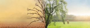 Switching to a New Managed Services Provider